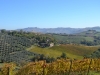 Fiorano-vista lontano